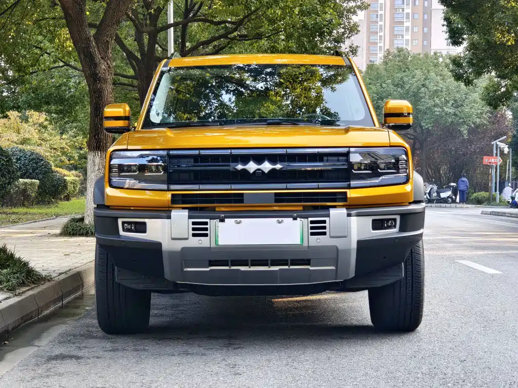 FANG CHENG BAO LEOPARD 5