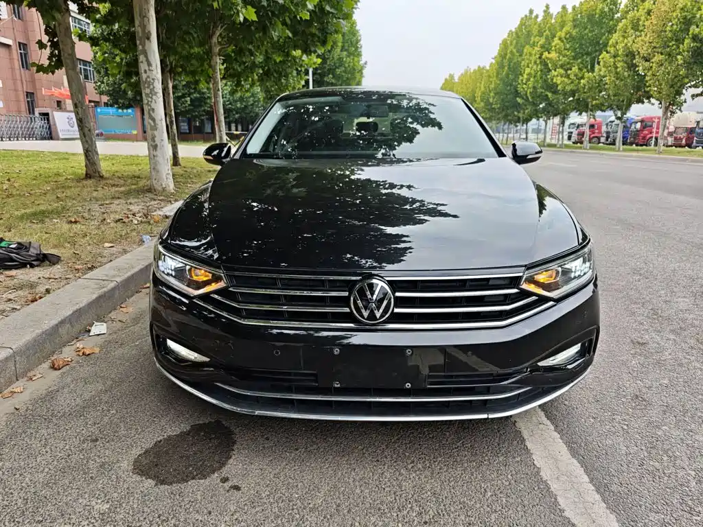 Volkswagen Magotan — миниатюра 3