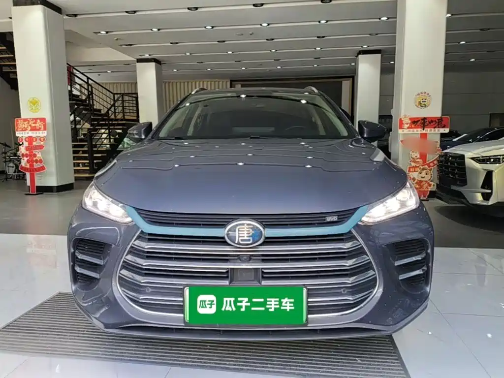 BYD Tang New Energy — миниатюра 3