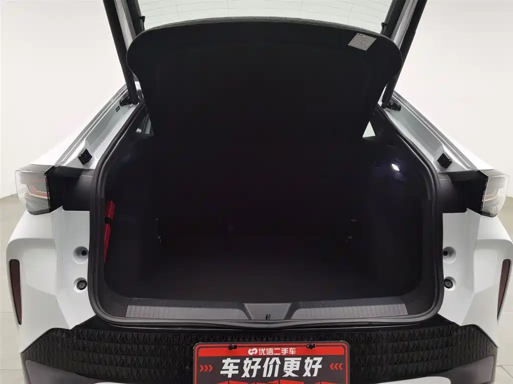 VOLKSWAGEN WITH THE CROWD 06