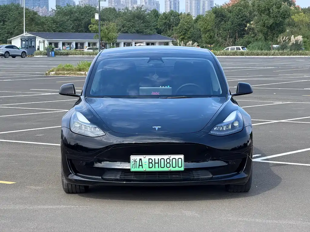 Tesla Model 3 — миниатюра 2