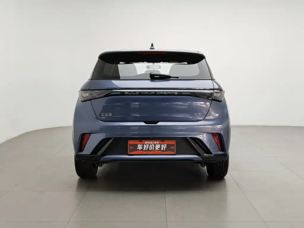 BYD Dolphin — миниатюра 4