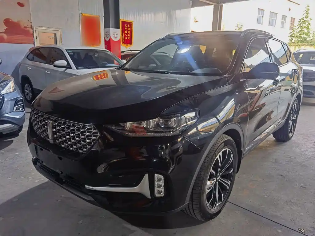 Wey Wey VV6