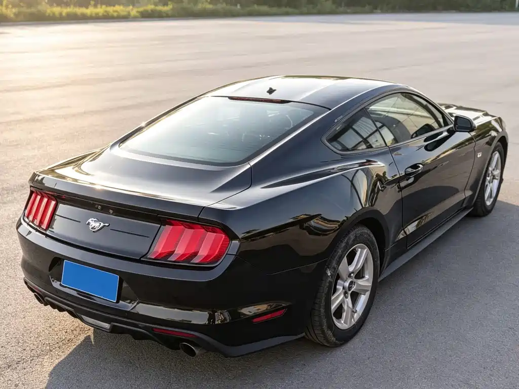 Ford Mustang — миниатюра 3