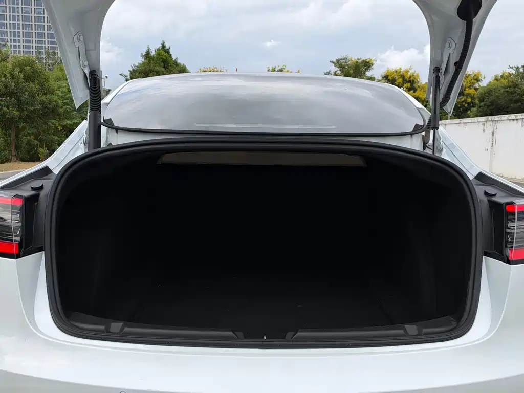 Tesla Model 3 — миниатюра 15