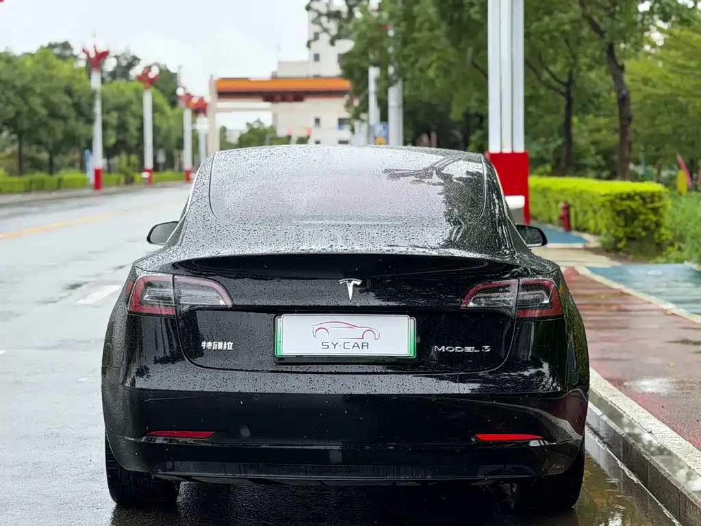 Tesla Model 3 — миниатюра 4