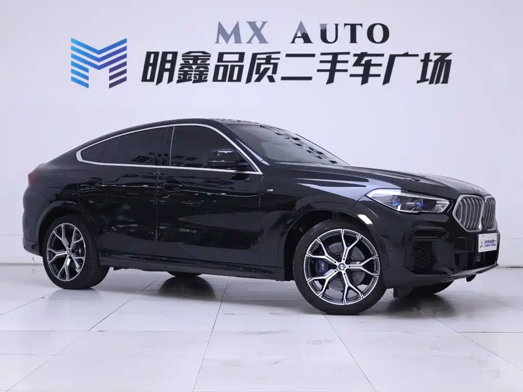 BMW X6 — миниатюра 5