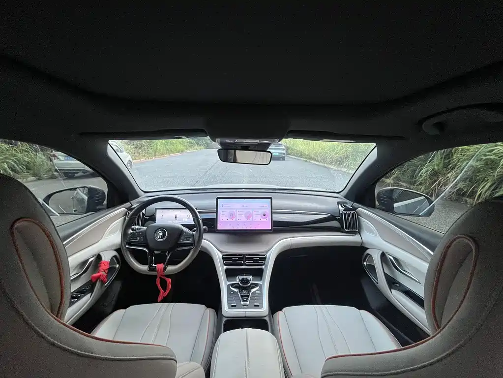 BYD Pro New Energy — миниатюра 8