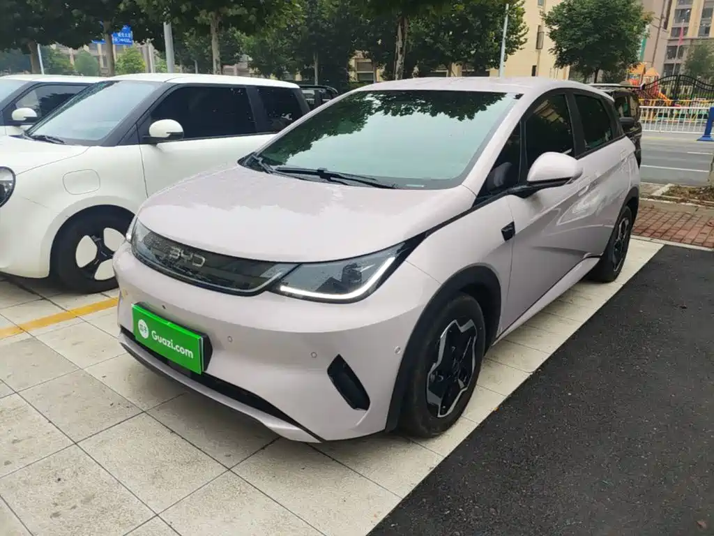 BYD Dolphin — миниатюра 2