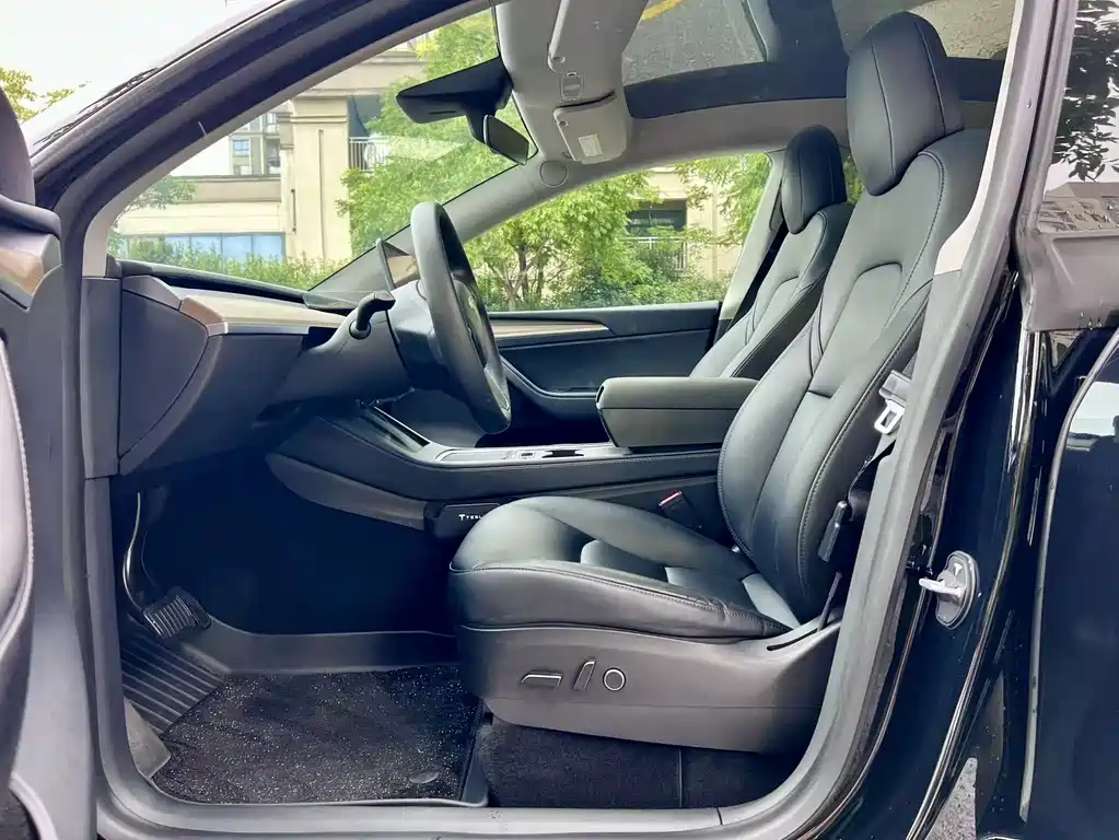 Tesla Model Y — миниатюра 15