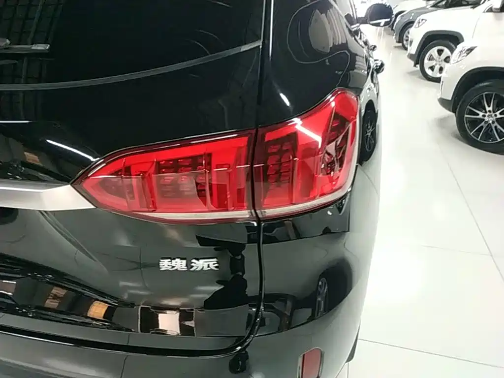 Wey Wey VV6 — миниатюра 8