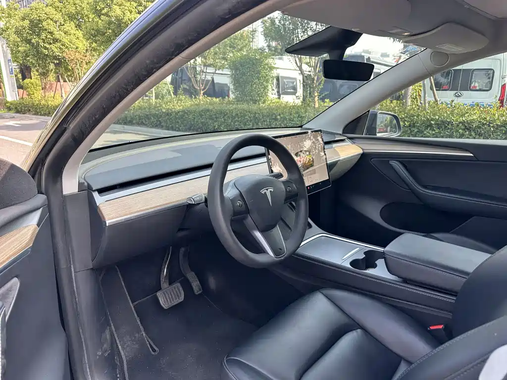 Tesla Model Y — миниатюра 8