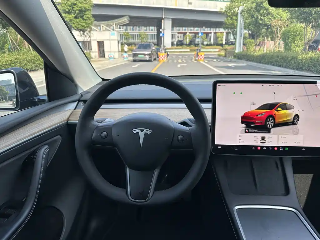 Tesla Model Y — миниатюра 10