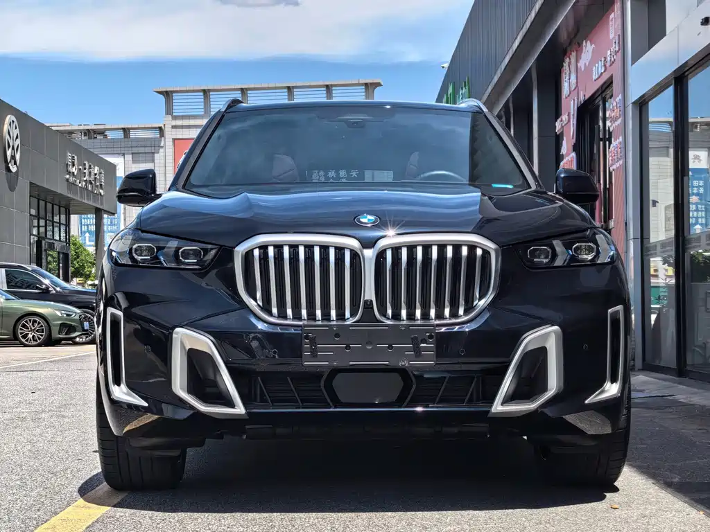 BMW X5 — миниатюра 2