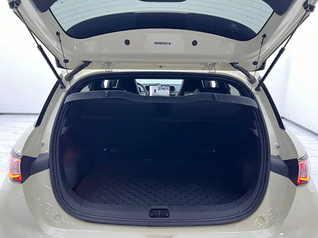 BYD Dolphin — миниатюра 24