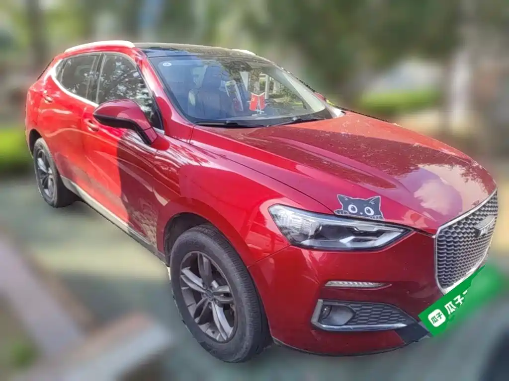 Haval F5 — миниатюра 6