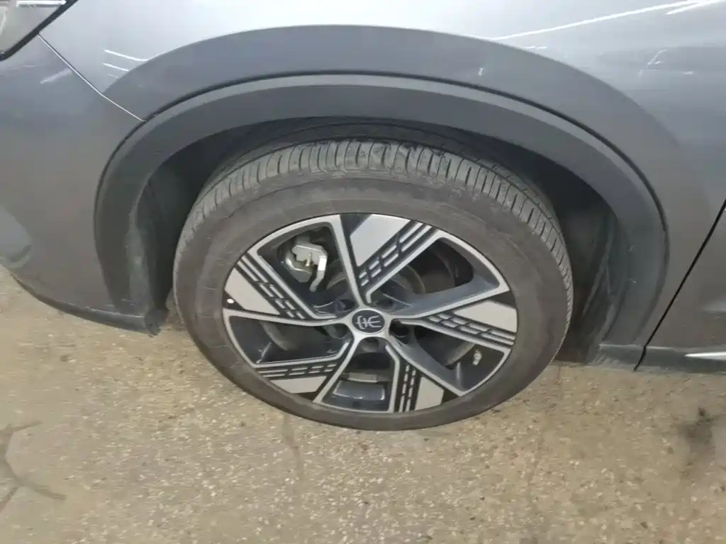 BYD Pro New Energy — миниатюра 23