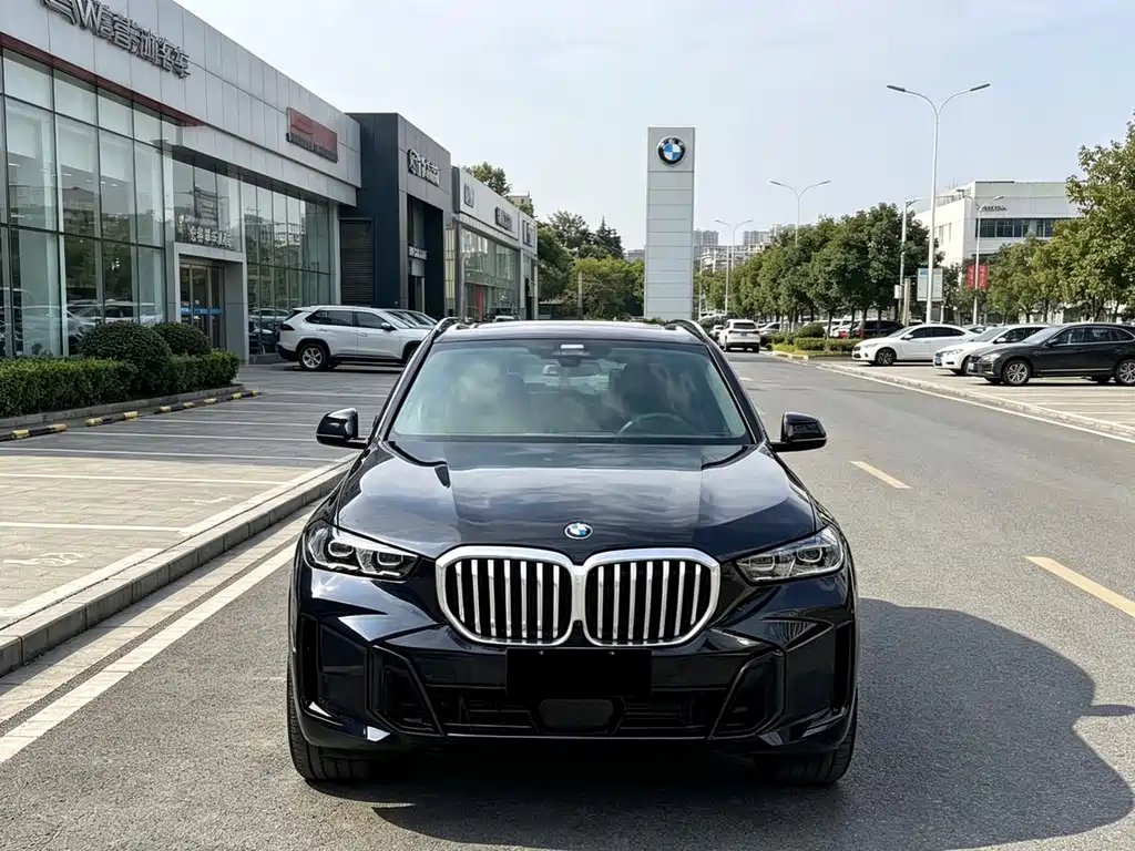 BMW X5 — миниатюра 2