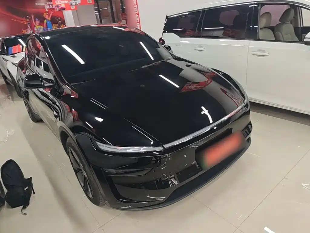 Tesla Model Y — миниатюра 4