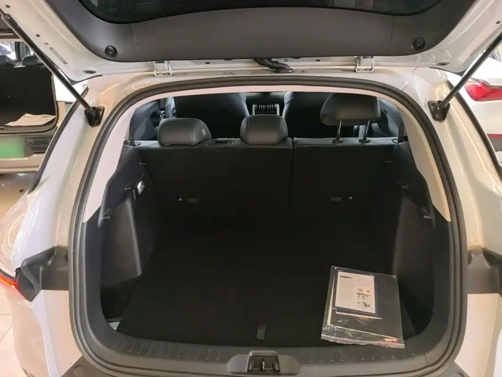 BYD Yuan Plus — миниатюра 19