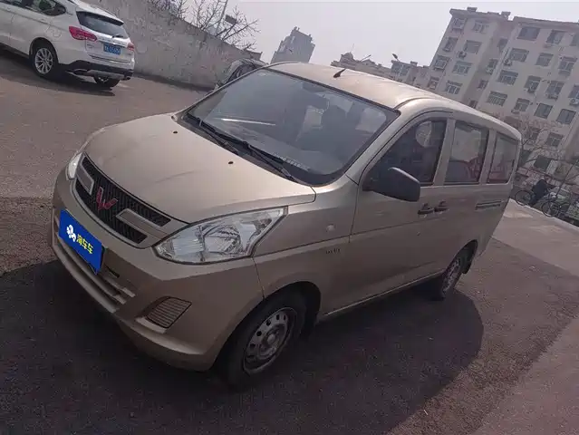 WULING WULING RONGGUANG V