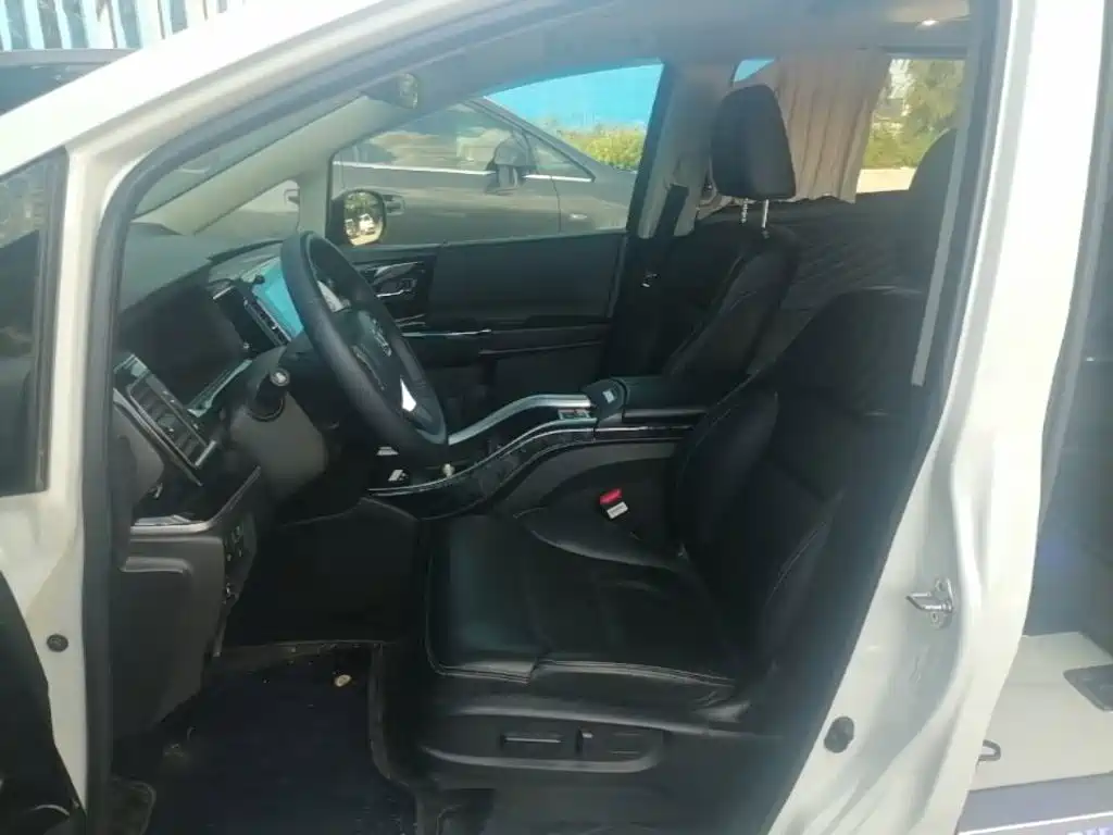 Honda Elysion — миниатюра 13