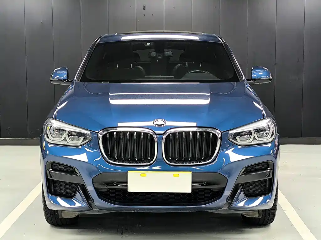 BMW X4 — миниатюра 2