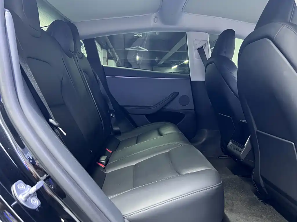 Tesla Model 3 — миниатюра 5