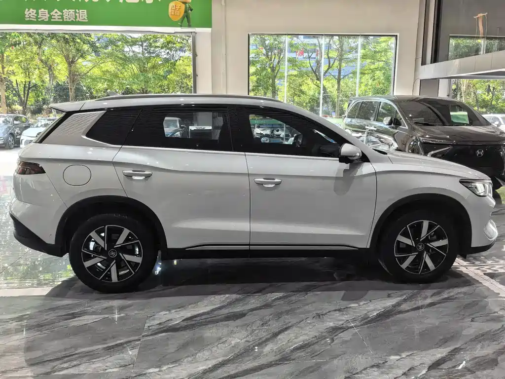 BYD Pro New Energy — миниатюра 23
