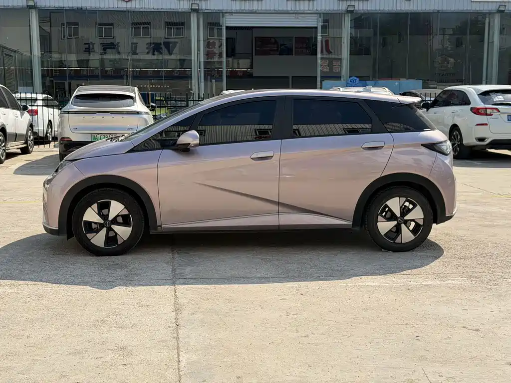 BYD Dolphin — миниатюра 10