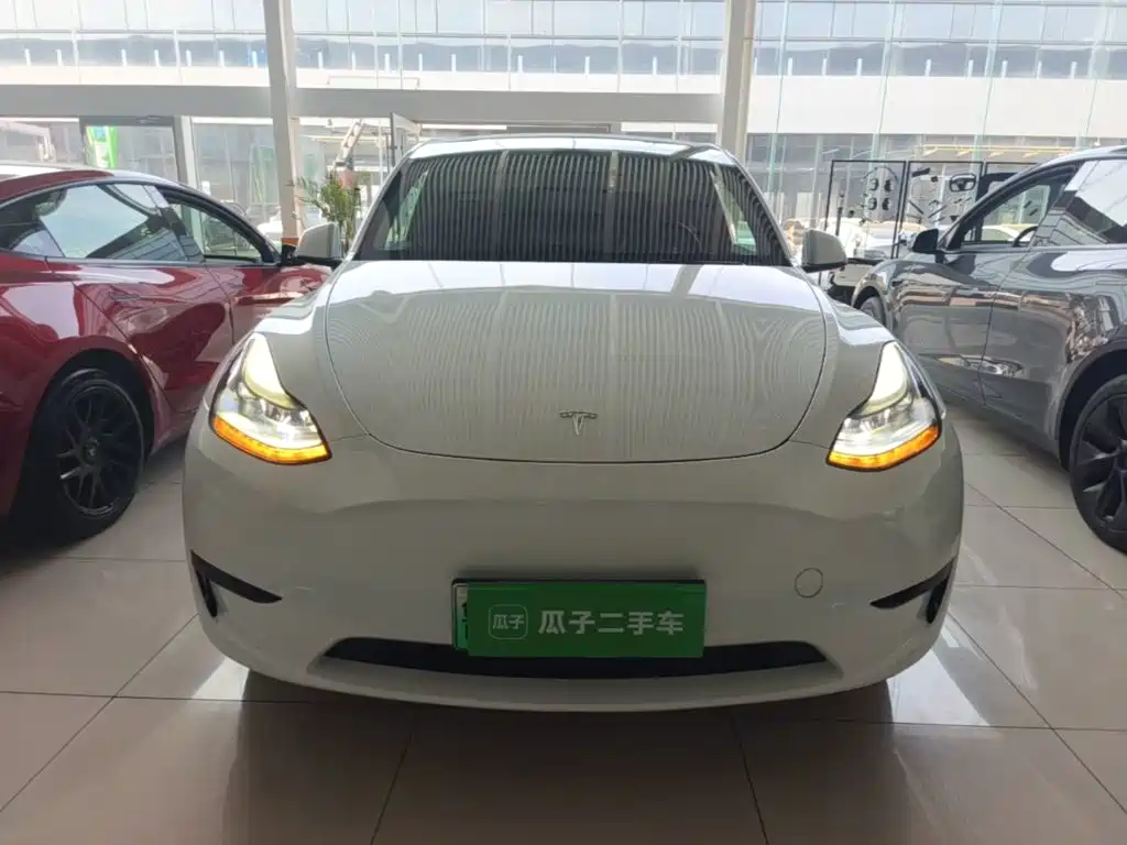 Tesla Model Y — миниатюра 3