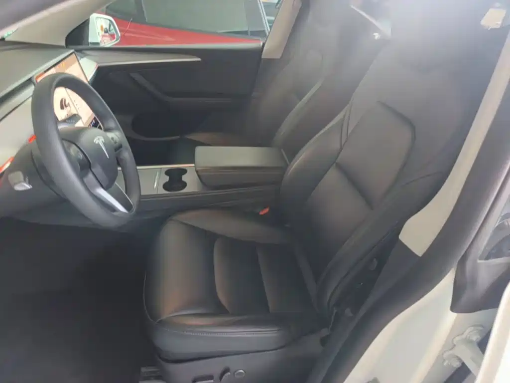 Tesla Model Y — миниатюра 15