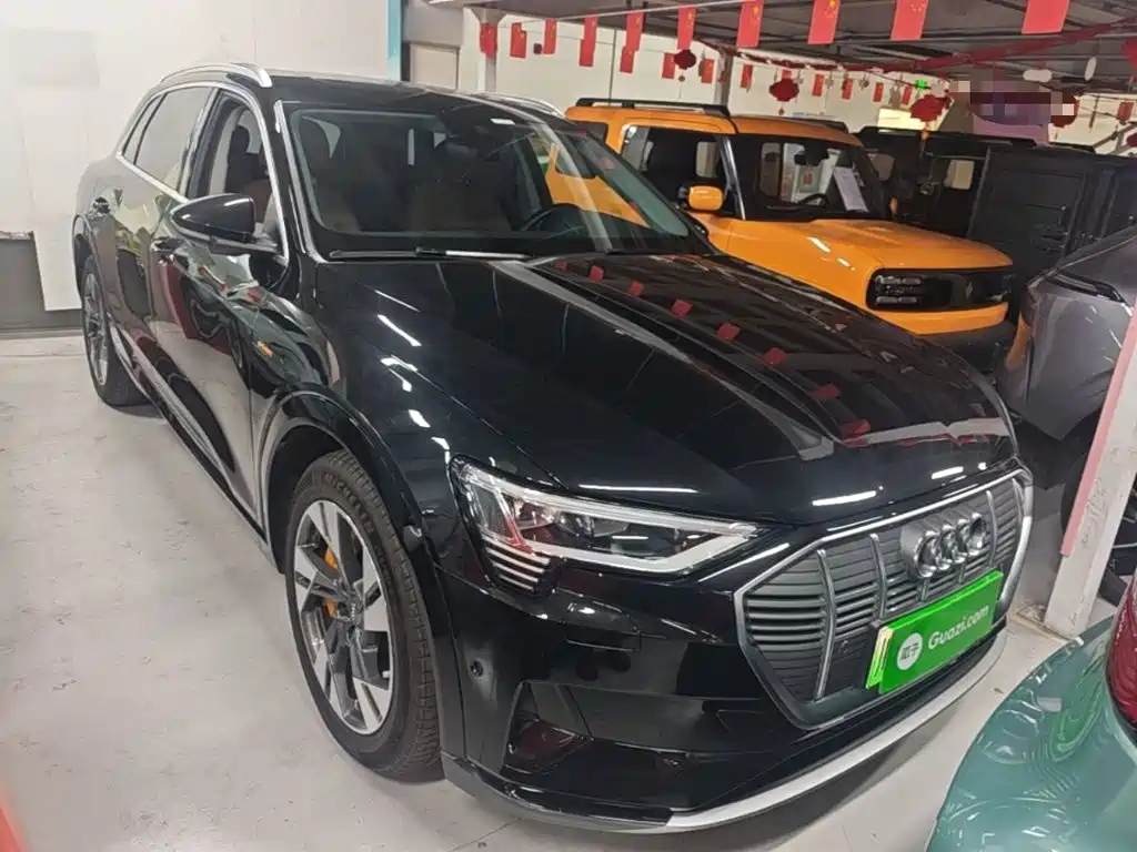 Audi e-tron (Import) — миниатюра 4