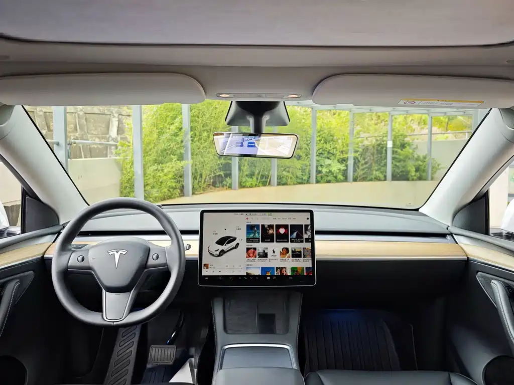 Tesla Model Y — миниатюра 8