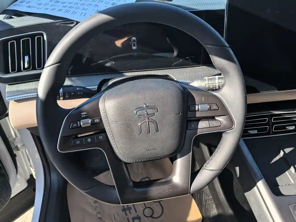BYD Pro New Energy — миниатюра 11