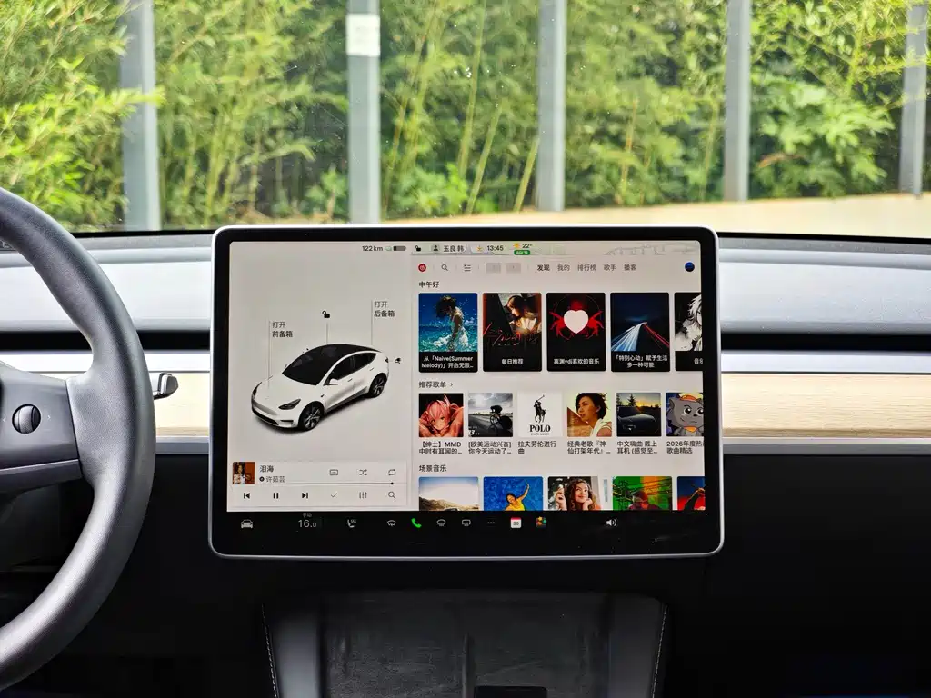 Tesla Model Y — миниатюра 13