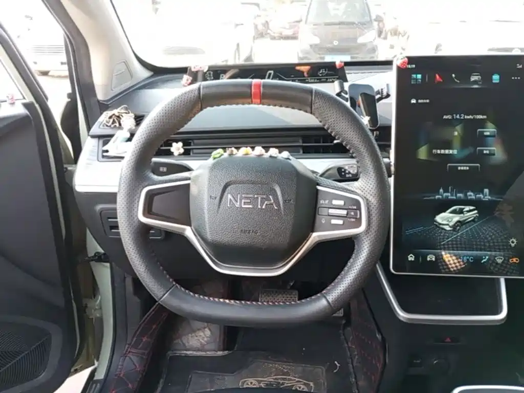 Neta Neta V — миниатюра 11