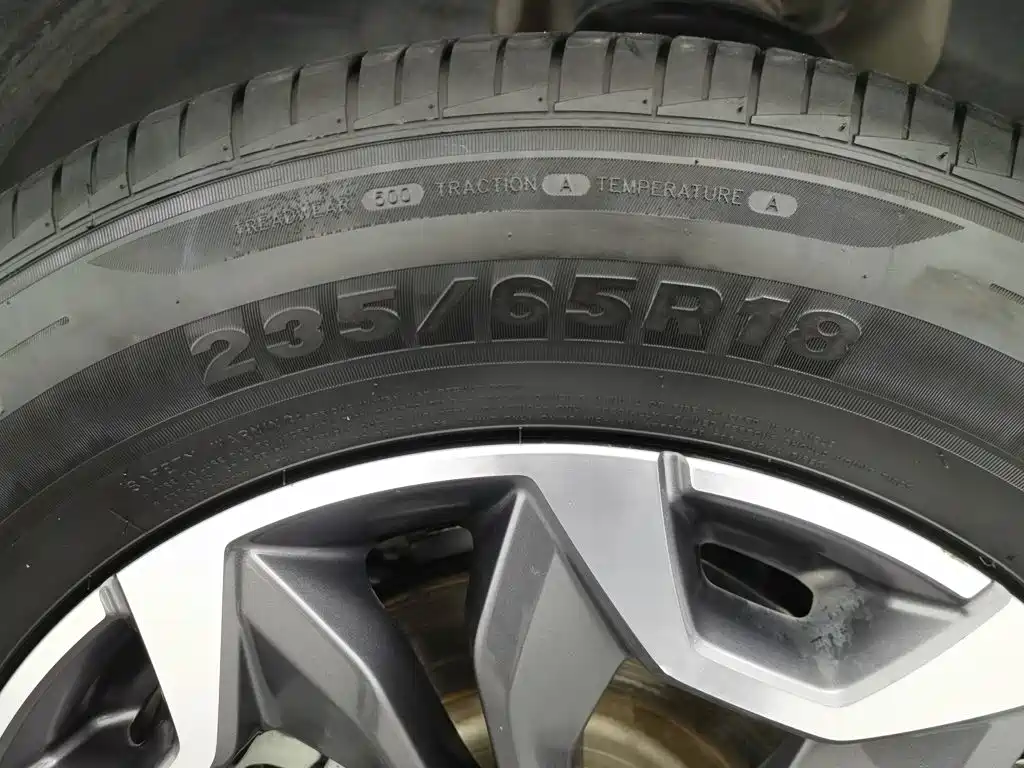 Haval Big Dog — миниатюра 24