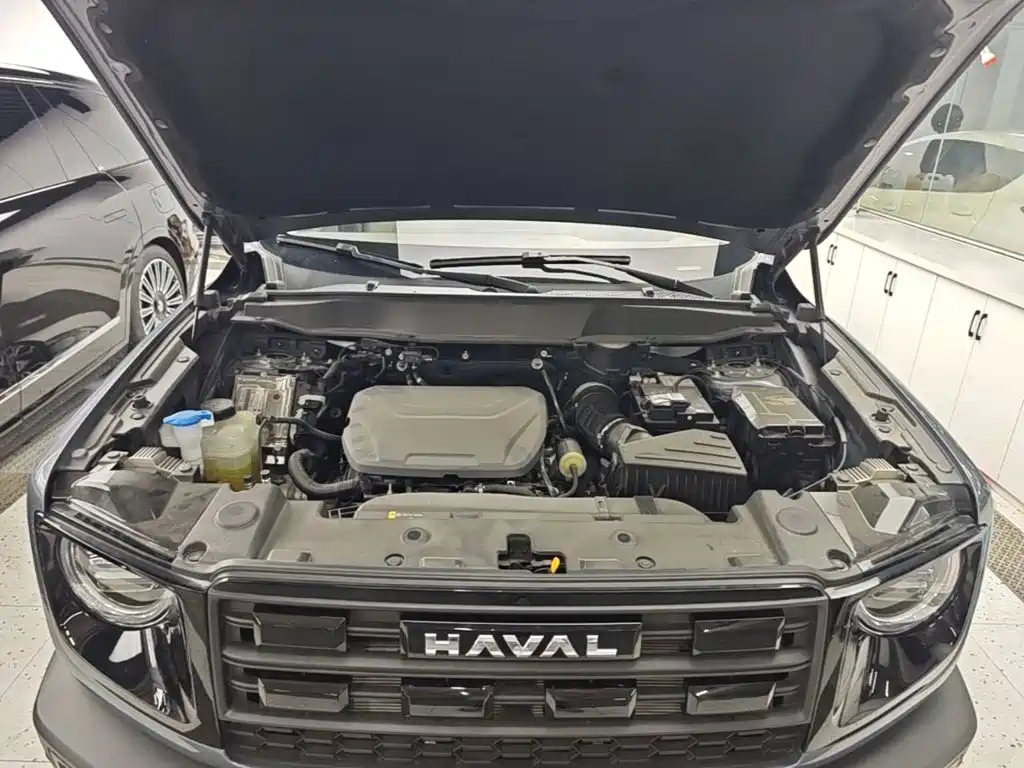 Haval Big Dog — миниатюра 20