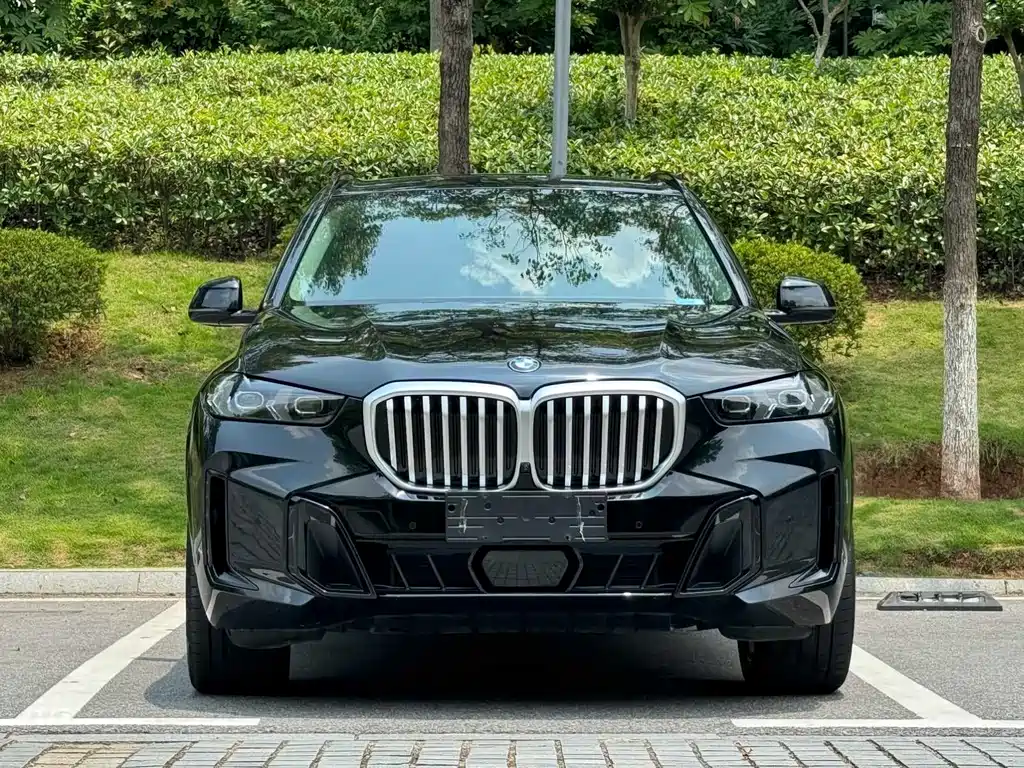 BMW X5 — миниатюра 2