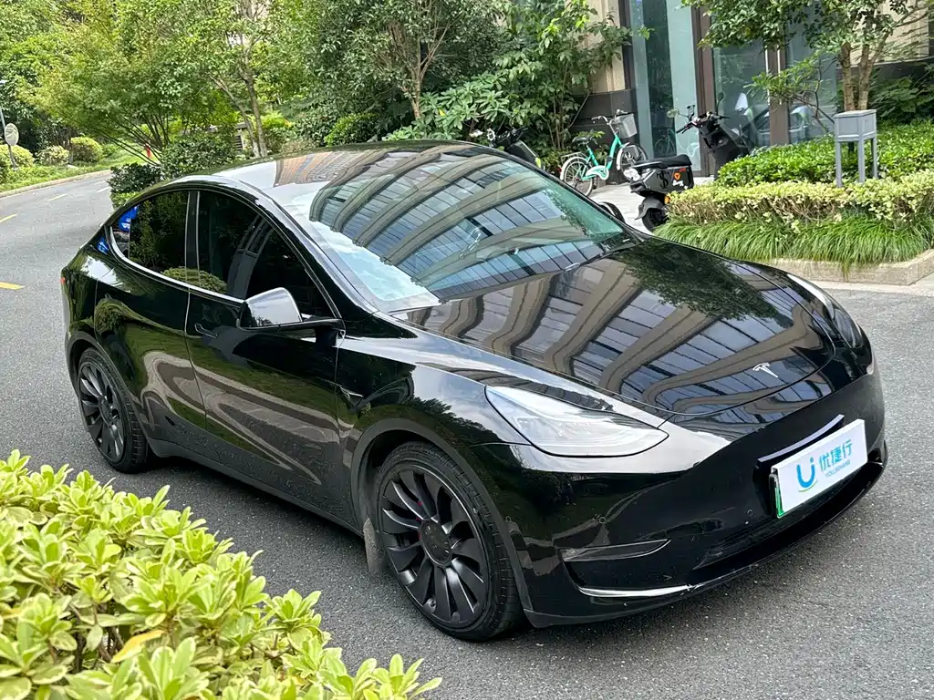 Tesla Model Y — миниатюра 3
