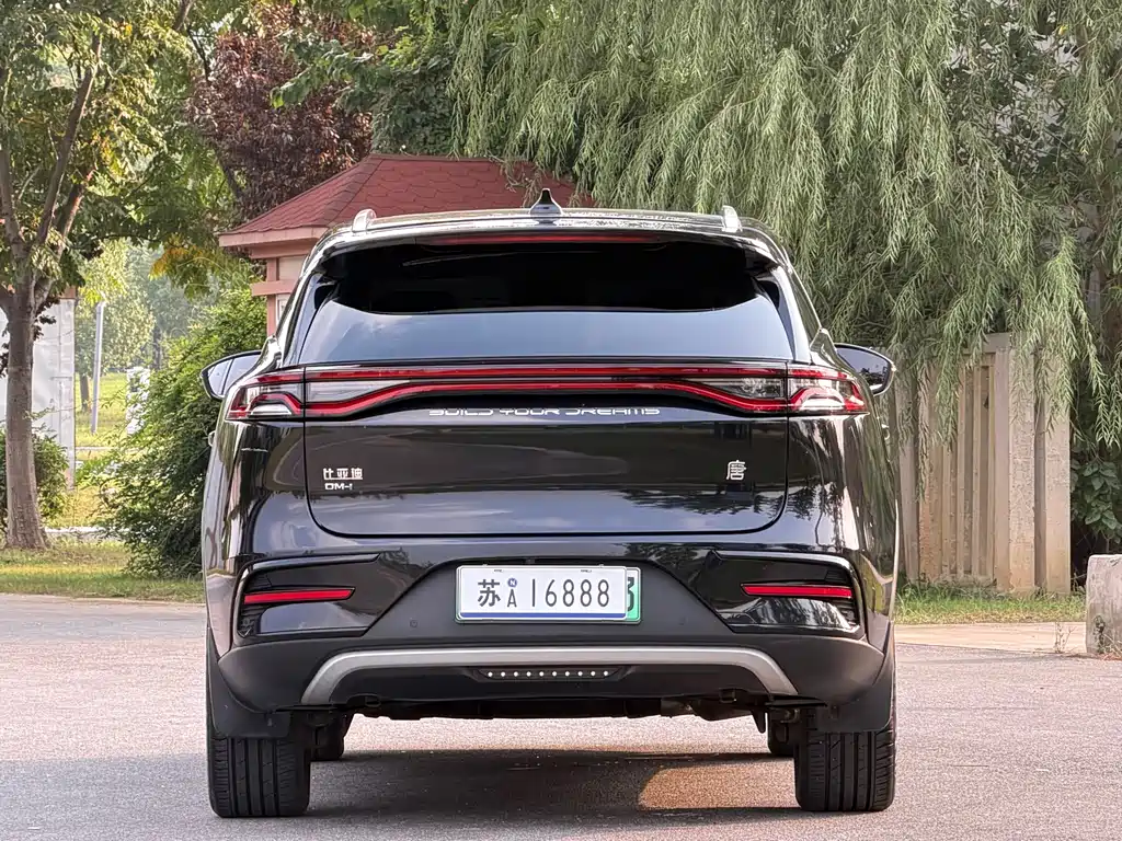 BYD Tang New Energy — миниатюра 6