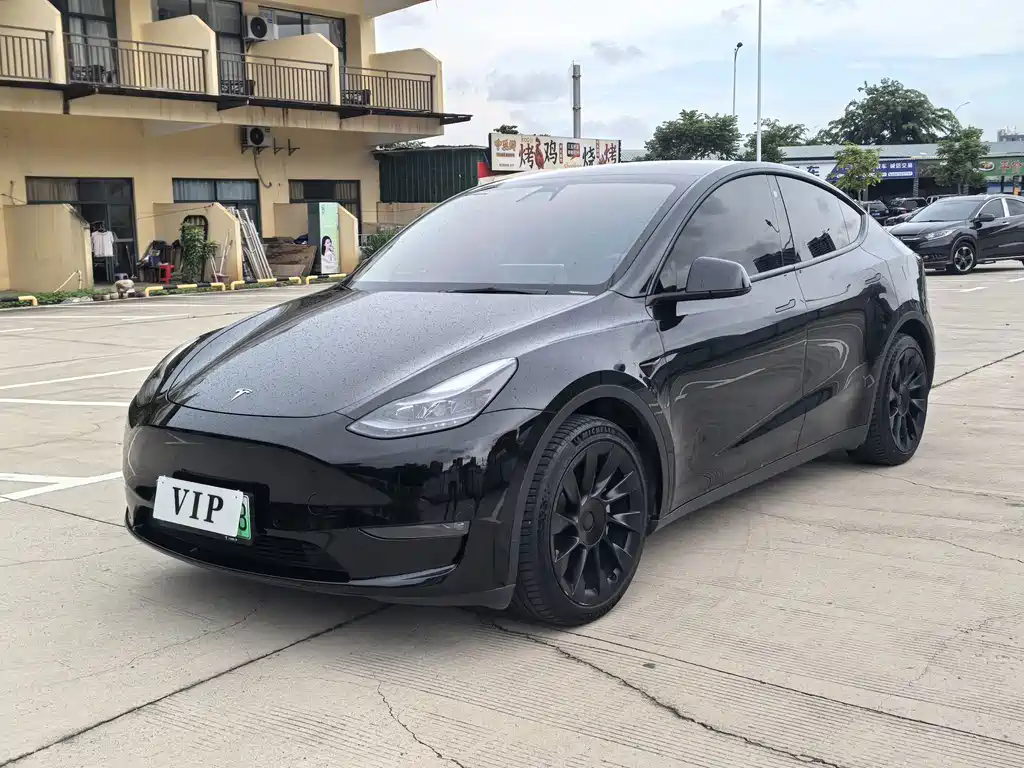 Tesla Model Y — миниатюра 2