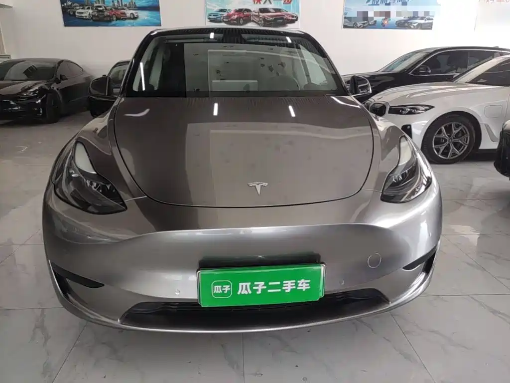Tesla Model Y — миниатюра 3