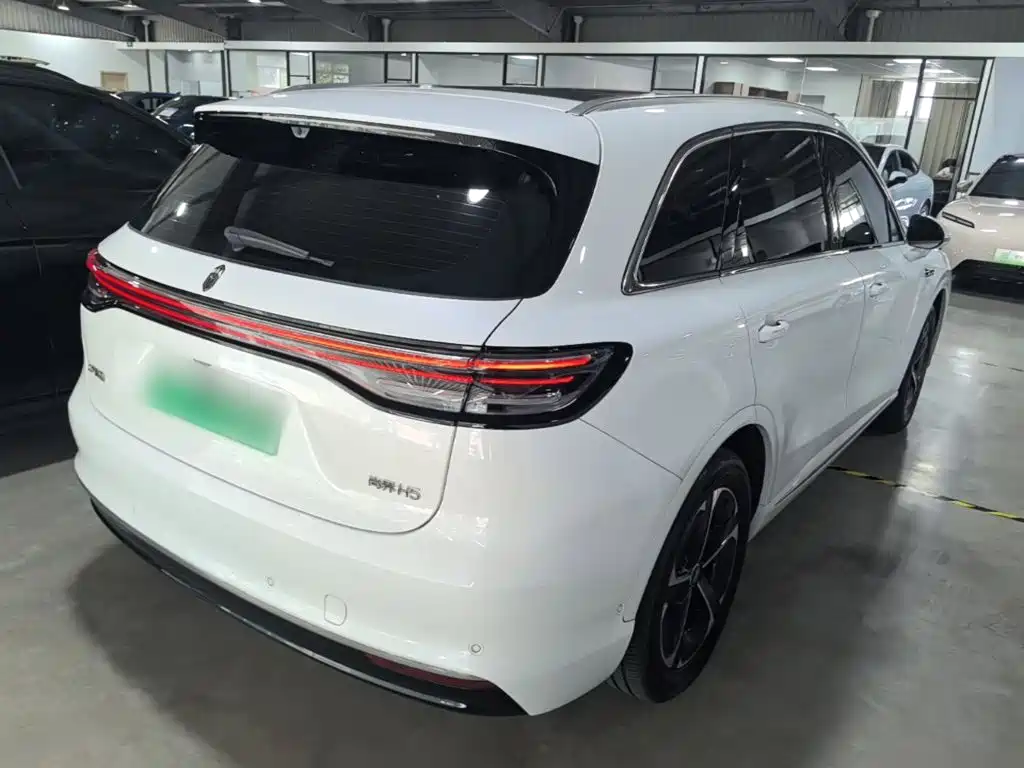 Shangjie Shangjie H5 — миниатюра 7