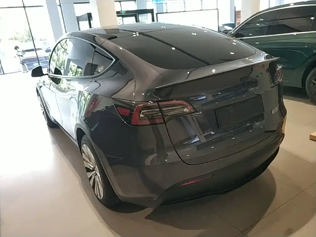 Tesla Model Y — миниатюра 5