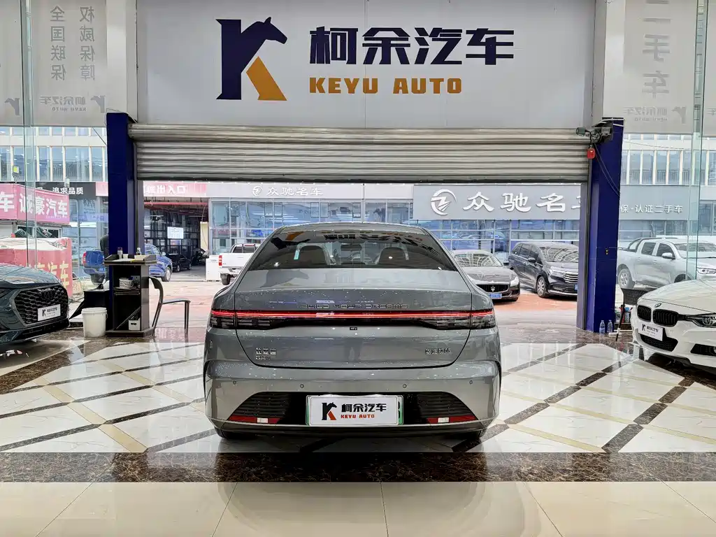 BYD Destroyer 05 — миниатюра 11