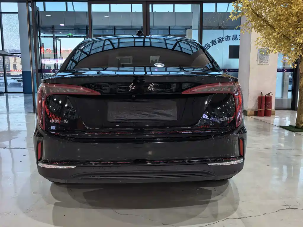Hongqi Hongqi E-QM5 — миниатюра 22