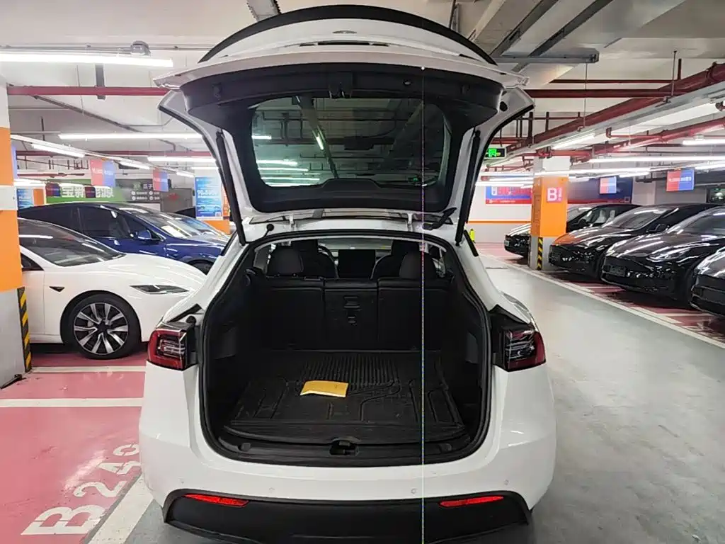 Tesla Model Y — миниатюра 19