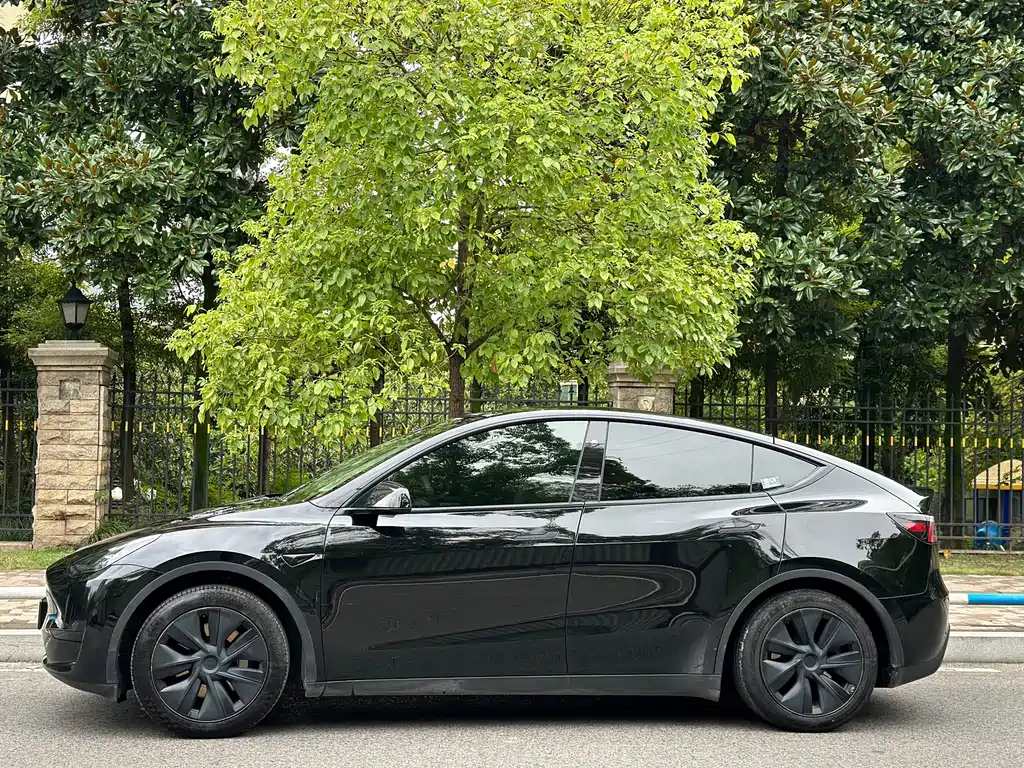 Tesla Model Y — миниатюра 4
